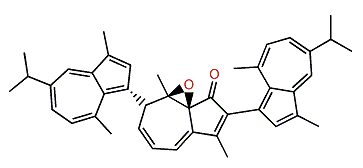 Anthogorgiene O